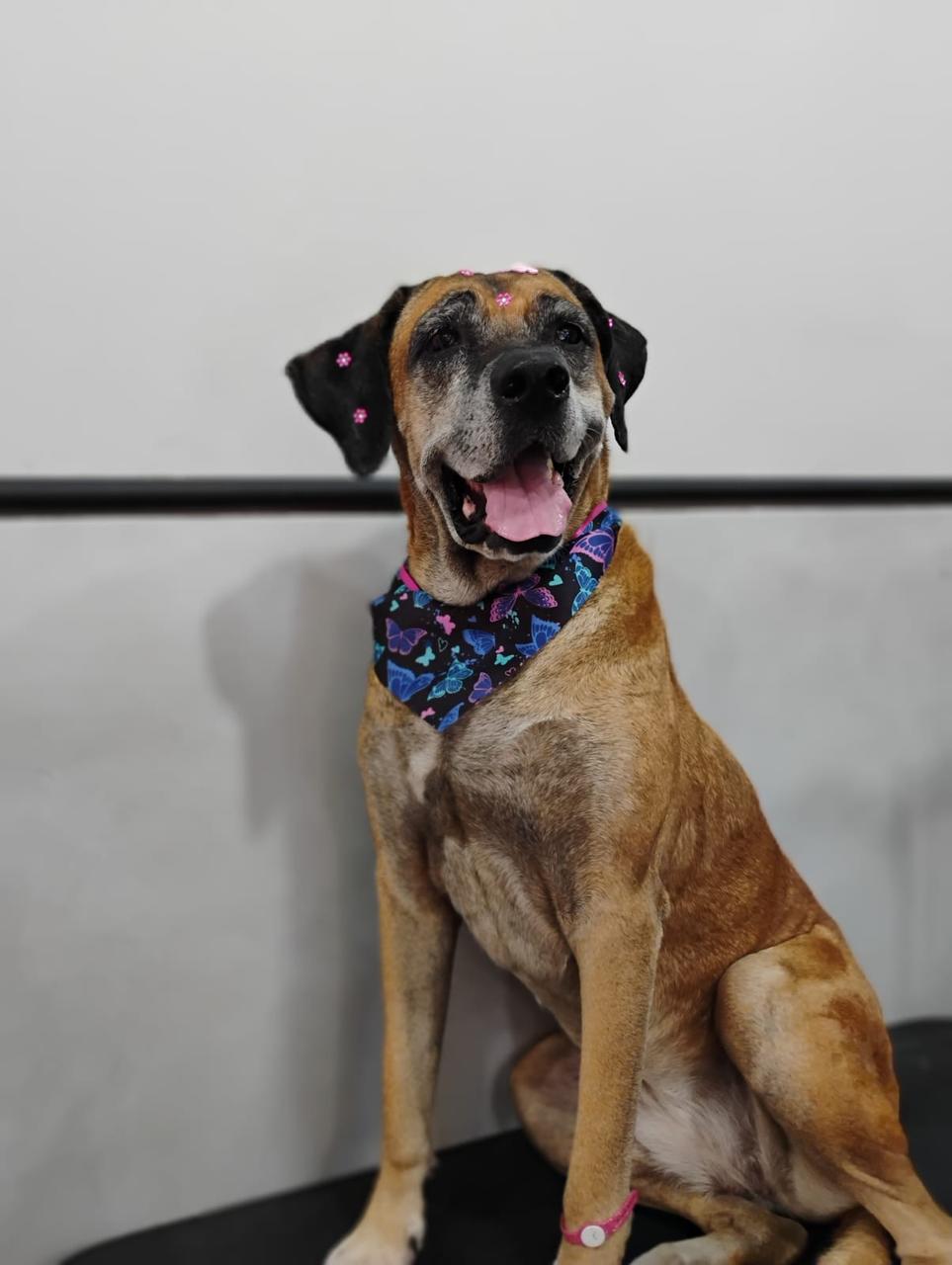 WhatsApp Image 2025-04-02 at 15.44.55 (2).jpeg