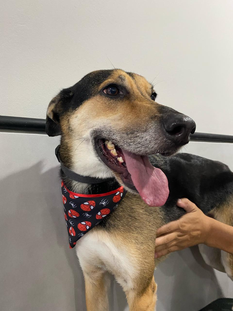 WhatsApp Image 2025-04-02 at 15.44.57 (3).jpeg