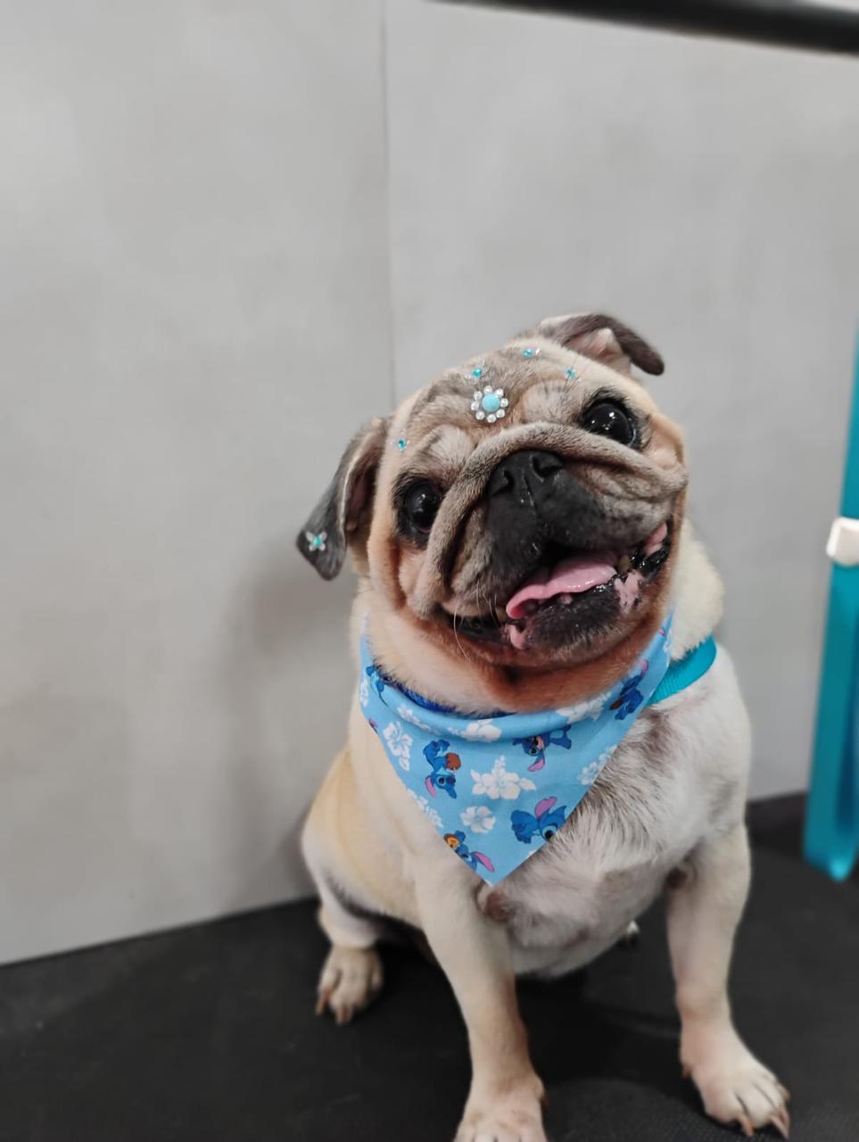 WhatsApp Image 2025-04-02 at 15.44.57 (2).jpeg