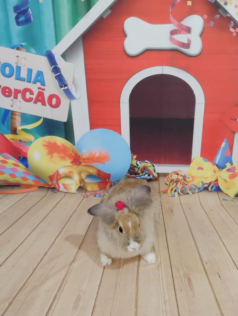 WhatsApp Image 2025-04-02 at 15.44.57.jpeg