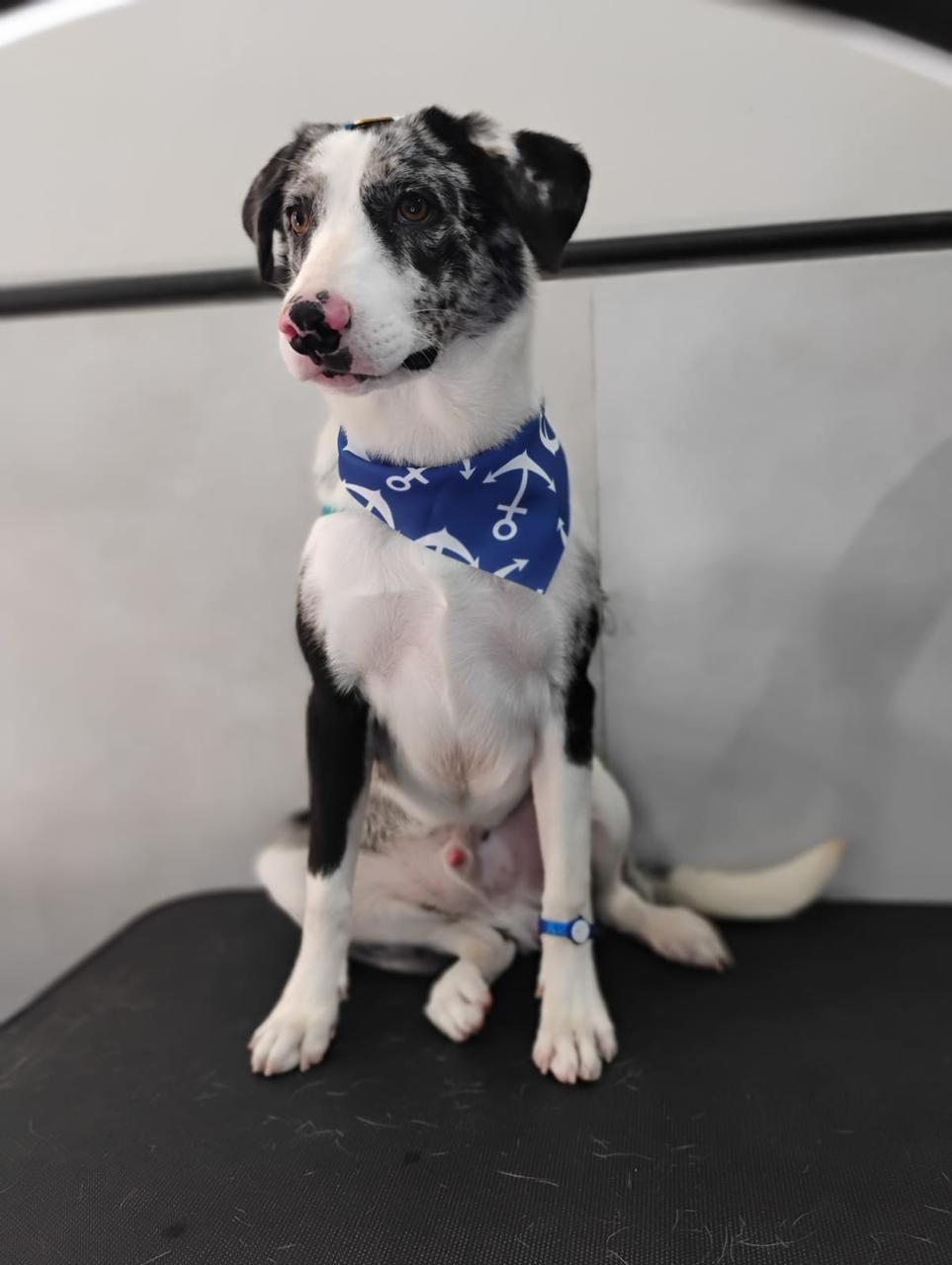 WhatsApp Image 2025-04-02 at 15.44.55 (1).jpeg