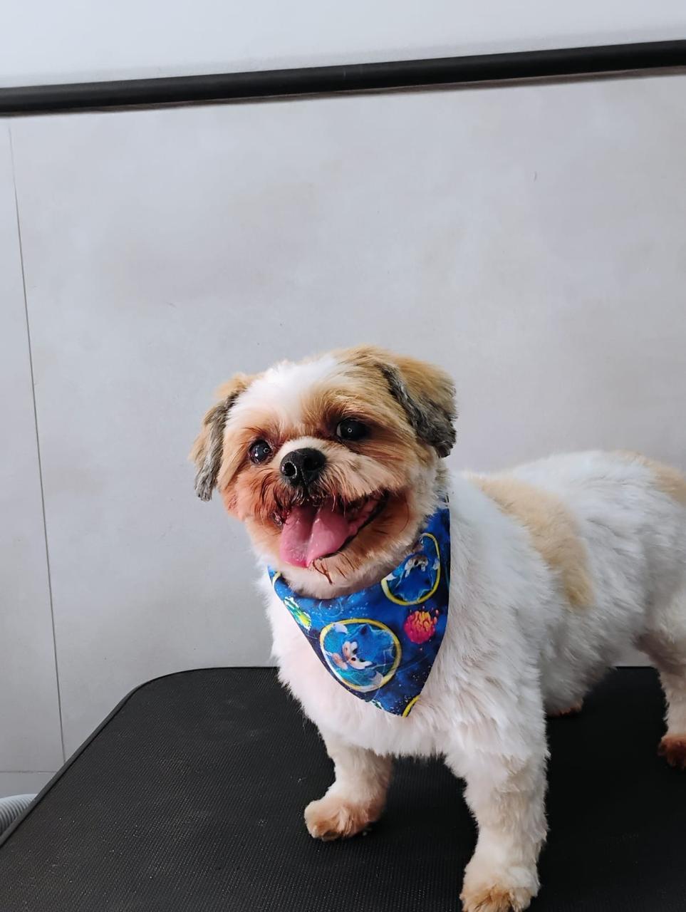 WhatsApp Image 2025-04-02 at 15.44.56.jpeg