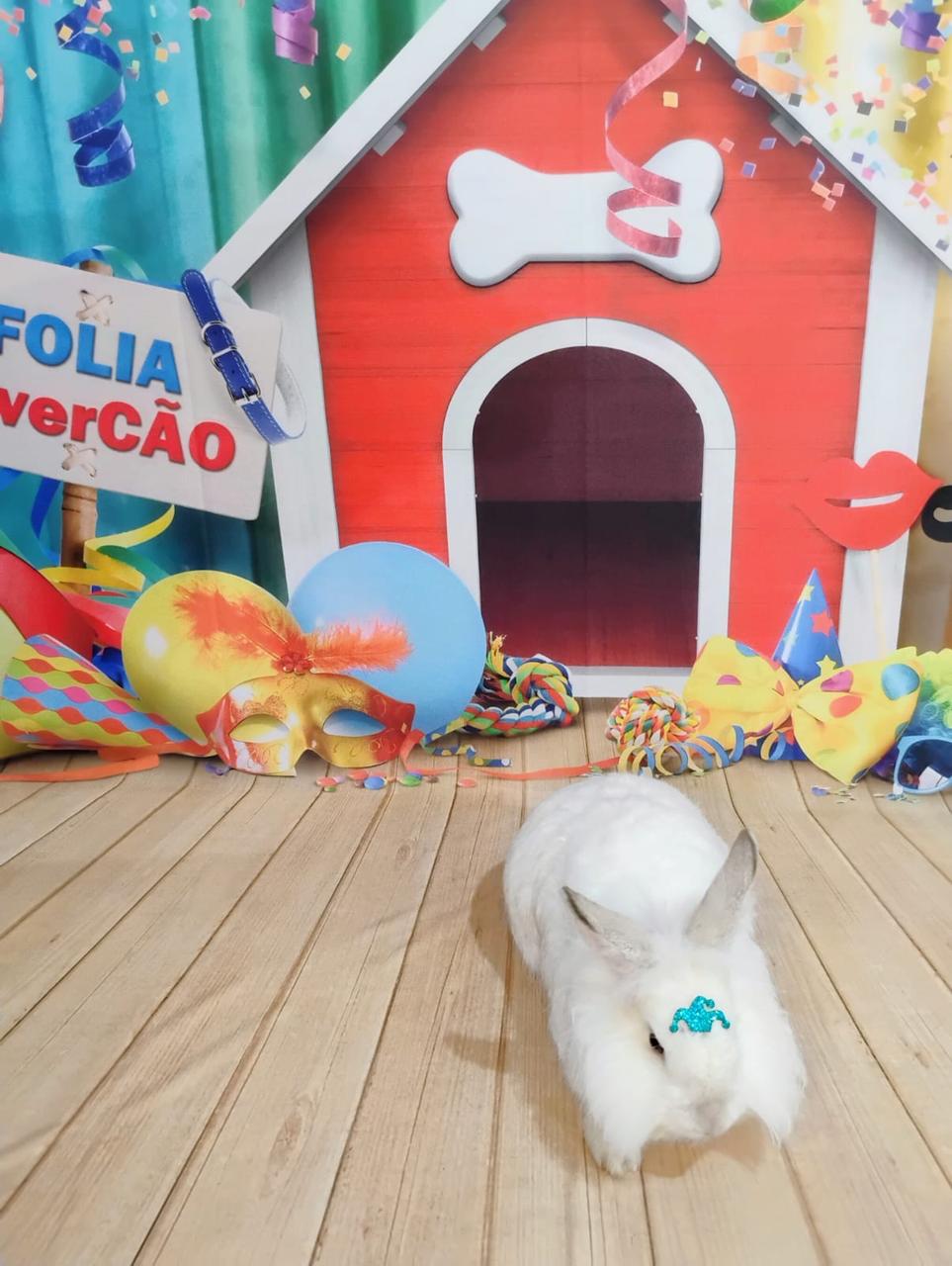 WhatsApp Image 2025-04-02 at 15.44.57 (1).jpeg