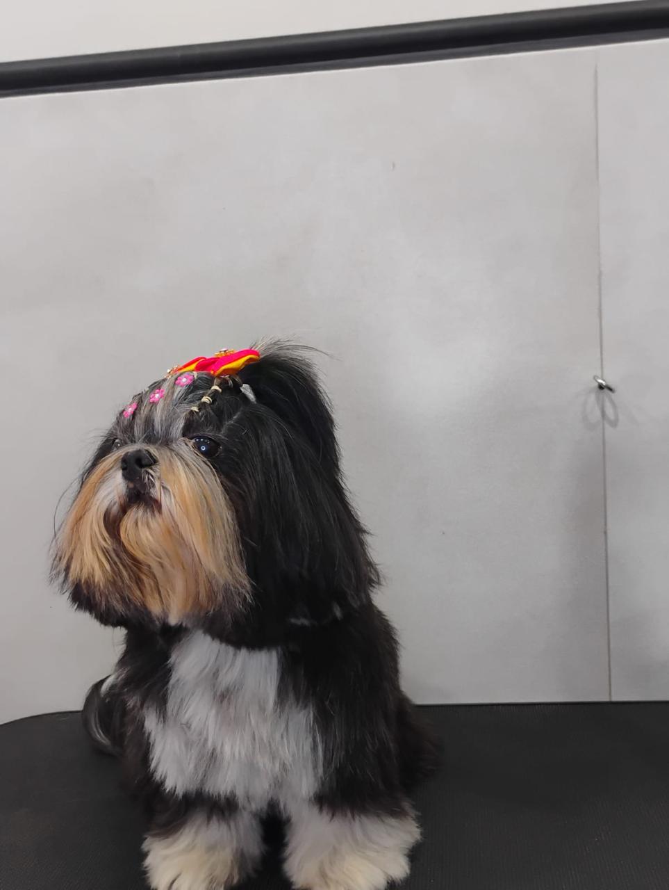 WhatsApp Image 2025-04-02 at 15.44.56 (1).jpeg