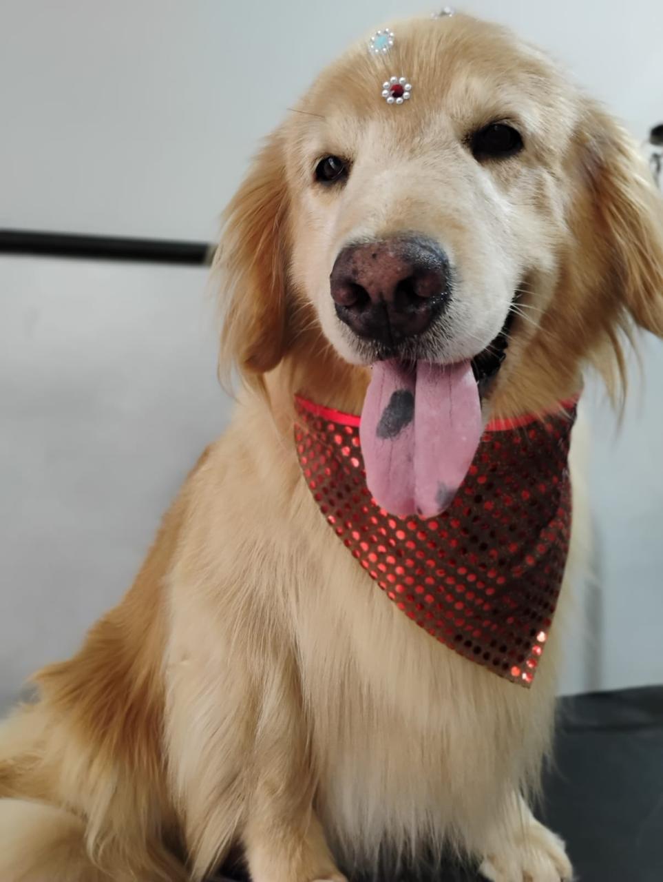 WhatsApp Image 2025-04-02 at 15.44.56 (4).jpeg