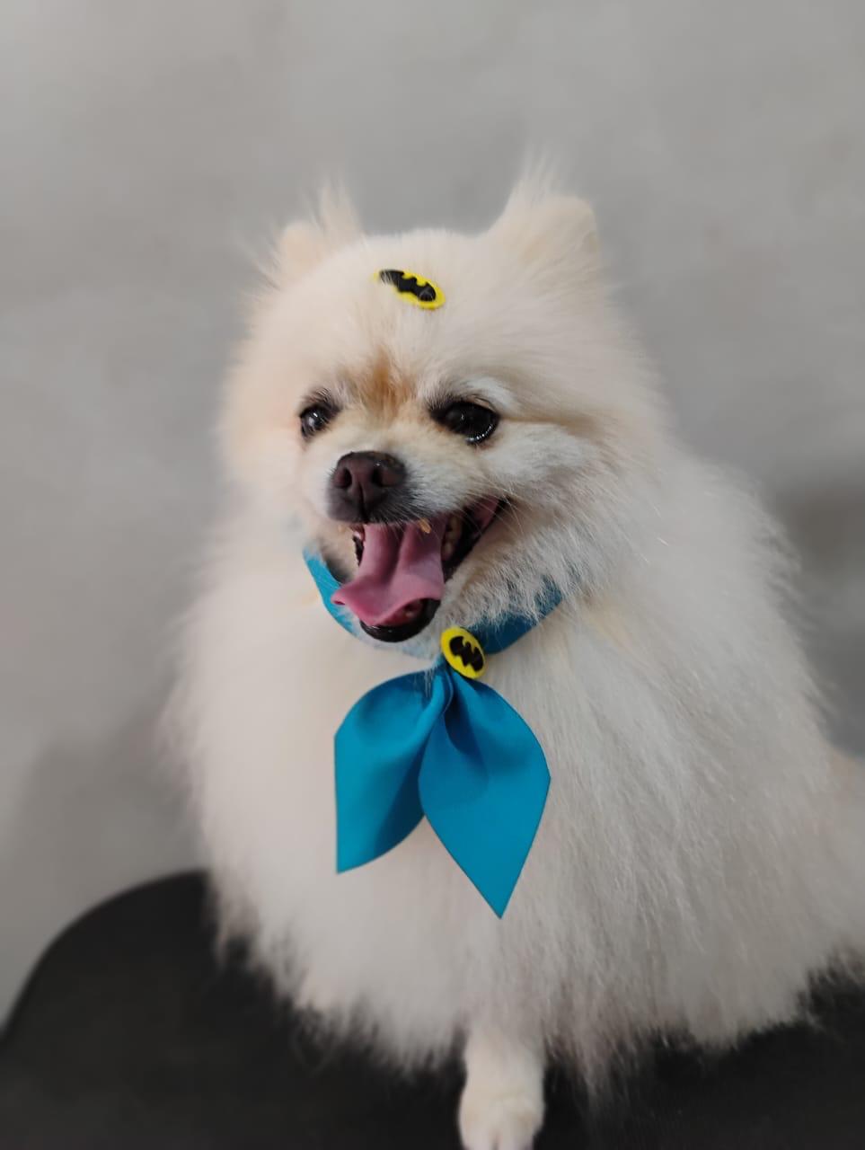 WhatsApp Image 2025-04-02 at 15.44.58.jpeg