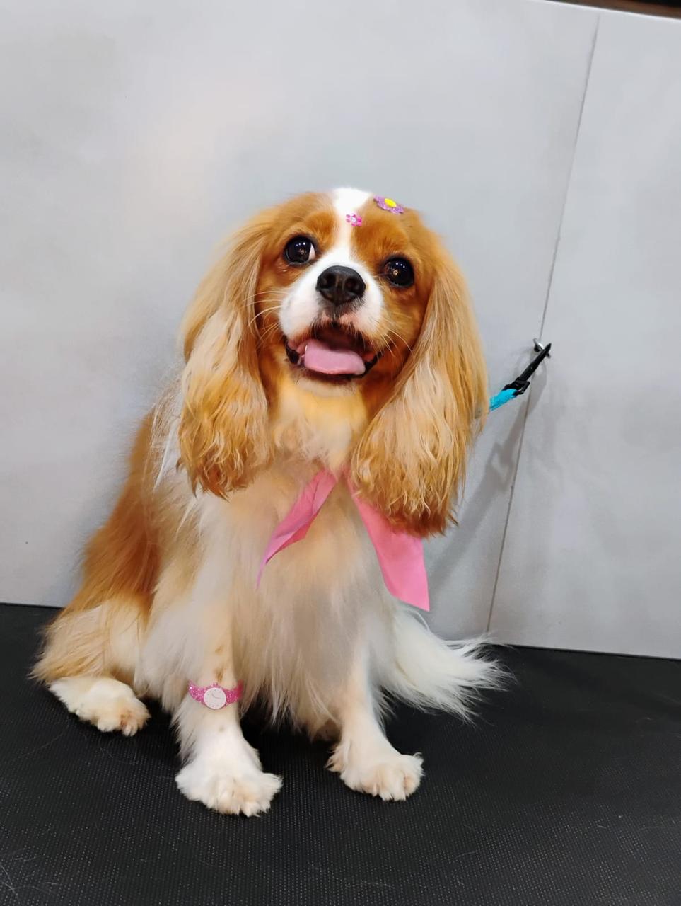 WhatsApp Image 2025-04-02 at 15.44.56 (2).jpeg