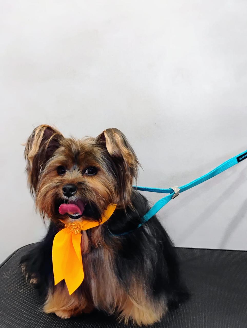 WhatsApp Image 2025-04-02 at 15.44.56 (3).jpeg